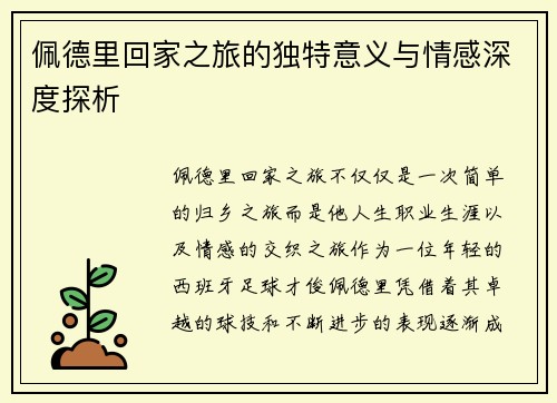 佩德里回家之旅的独特意义与情感深度探析