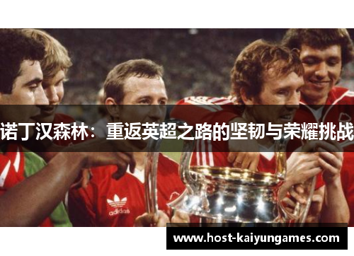 诺丁汉森林:重返英超之路的坚韧与荣耀挑战 诺丁汉森林:重返英超之路的坚韧与荣耀挑战