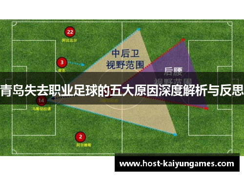青岛失去职业足球的五大原因深度解析与反思