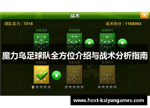 魔力鸟足球队全方位介绍与战术分析指南 魔力鸟足球队全方位介绍与战术分析指南